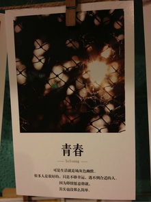 寻找内心的平静