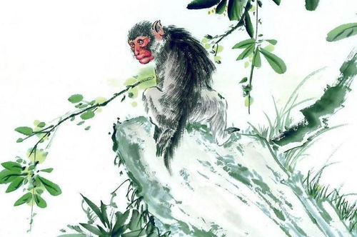 兔年生肖之人：温润表象下的深邃内涵