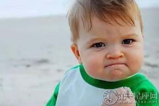 二、  植物与吉祥物：化解煞气、旺盛运势的辅助手段