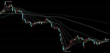 一年四季风水流转，风水轮流转，快来看一看，这风水变化太快了，大家怎么看待呢？
