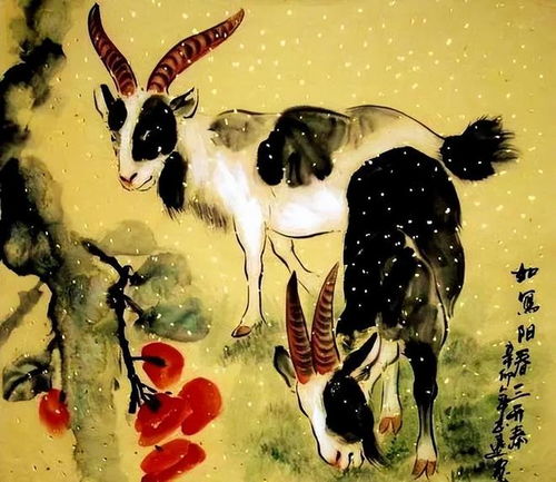 十二生肖兔年蛇运势指的是什么？