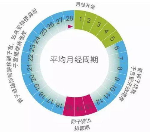 前言：惯与起名的那些事儿…