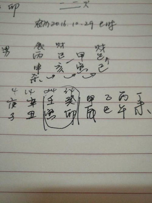 甲寅日己巳时命格有何独特之处？是否真的不好？