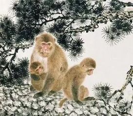 属猴男性在哪个月份出生命运最佳，婚姻最幸福？