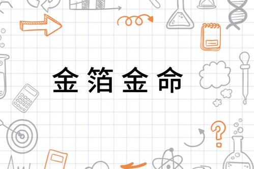 金命命理的学术界定与柱位辨析：以哪柱为准的理论探究