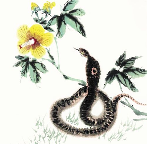 将毒如狼虎打一生肖，是哪个生肖的尾巴特长？