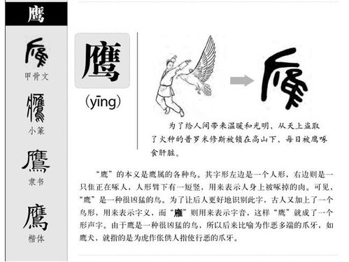 森字男孩名字推荐