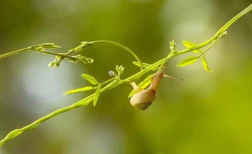 今天是哪一天节气？惊蛰是哪一天？