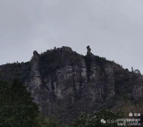 （三）永嘉楠溪江：生机盎然的田园风水