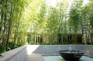 四、 种子类植物：“发”福增运