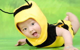 属蛇男孩取什么名字最吉利，有没有免费推荐的最佳名字呢？