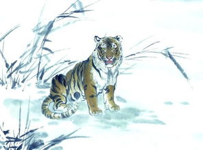 十二生肖下半年运势如何，哪个生肖在何时达到运势巅峰？