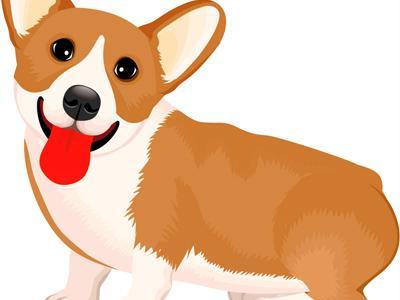 2026年属狗人的贵人属相有哪些？