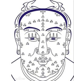 韩国综艺《随心面相》看面相收费多少？真实面相解析靠谱吗？