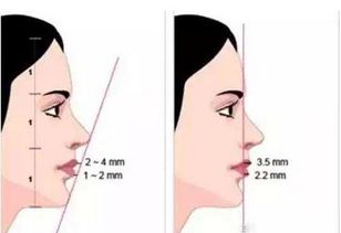 一、 下颌线条与意志力、决断力之象征意义