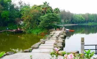 6.2 错位摄影的艺术含量为零