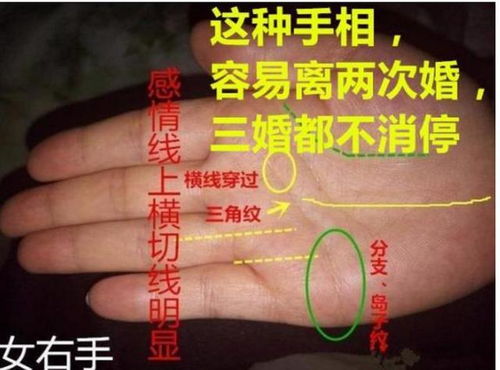 社会周边环境背景下离异率升较高对二婚手相解读的崭新视角