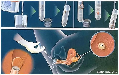 医学建议与奇门遁甲之间的协同关系