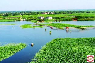 出发前的那些破事儿