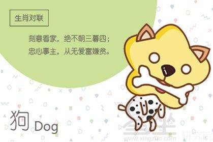 属狗女在26岁时婚姻状况如何，26年婚姻运势怎样？