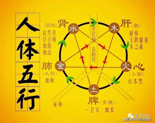 6月3日五行穿衣如何搭配能招财又显色？