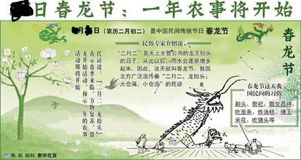 2004年二月二命格是什么？