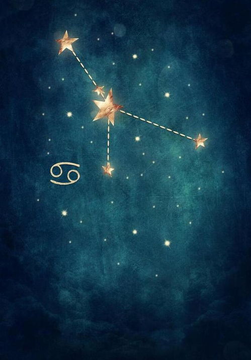 水瓶座：积极主动迎挑战