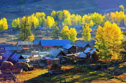 3. 白哈巴村：中哈边境的宁静村落 欣赏日出日落