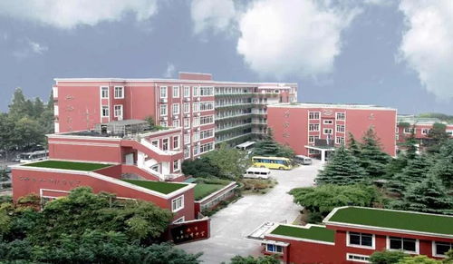 2.1 主教学楼方位与“龙”象