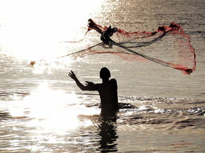 梦见游泳上岸上树被虫子抓着手是什么预兆？周公解梦如何解释？