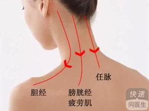 第一节：从现代医学视角重新审视腰部皮肤问题