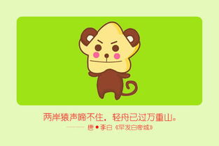 三、 事业持续发展及职业取向解析