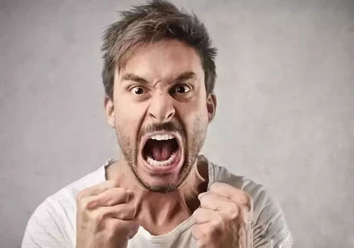 二、 火元素旺盛对小耳人情绪波动的调节作用