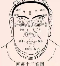 “台辅”与“封诰”同现于“夫妻宫””的综合解读