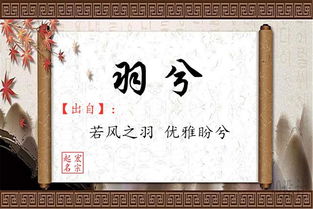 ：命理学视角下的姓名选择与文化传承