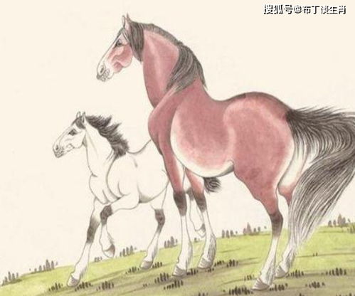 属马人2026年婚姻运势如何，那一年会有好姻缘吗？