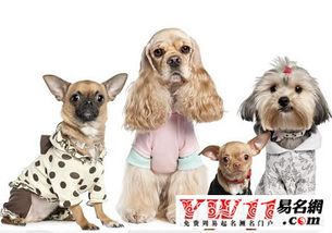 惯与字的选择：避雷指南