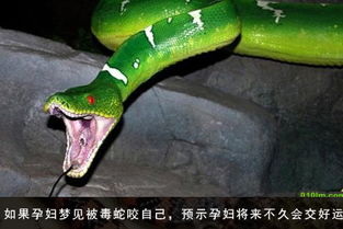 3. 社会周边环境可靠与盗窃风险因素的联想
