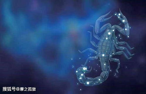 天蝎座男性群体对口味与喜良好的较深度了解