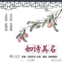 思想专注