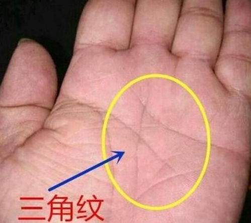 生肖与命格：虎女帮夫旺运