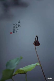 谐音梗：玩的就是心跳（或着尴尬）