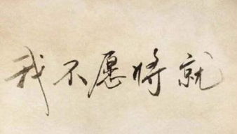 生肖星座与风水因素在婚恋观中的潜在作用于