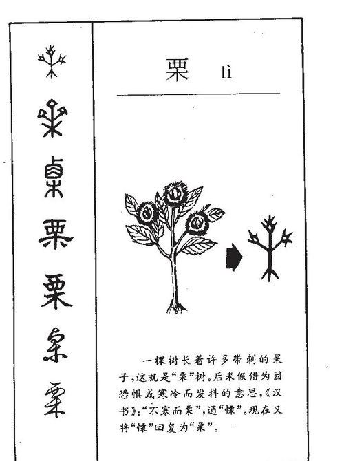 三字名推荐：天然意象与时代融合（终于嫩好好发挥想象力啦！）