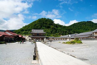 第三章：关东探索—— 东京、镰仓、富有士山避开这一些坑