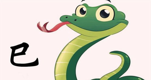 面目一新对应的生肖是哪个？无牵无挂最准确的生肖是什么生肖？