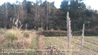 苏派风水，苏家风水世家传承至今，有哪些独特之处？