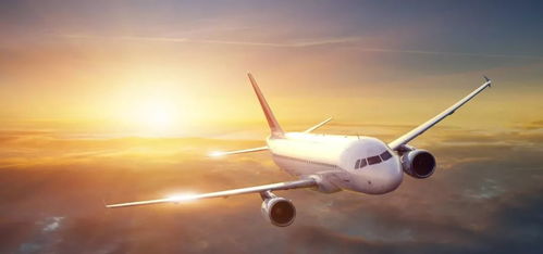 救命啊！榆林到大连机票白菜价！！！不堪真的会哭死在厕所！！！