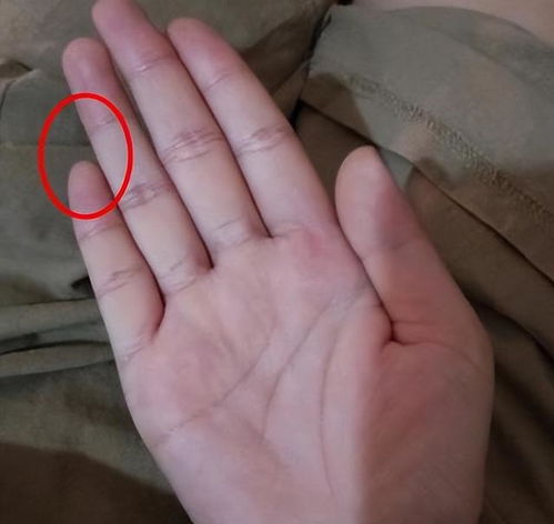 四、 五行学说中的关联：地天泰卦与妻财旺盛