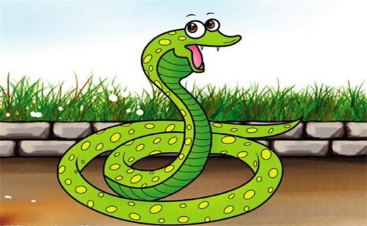 属蛇人2026年运势及运程详解，预测具体内容是什么？